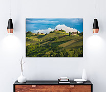 Obraz Francúzske vinohrady 1402